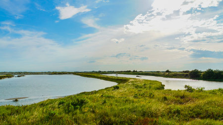 panorama with the river, the Po Deltaの写真素材