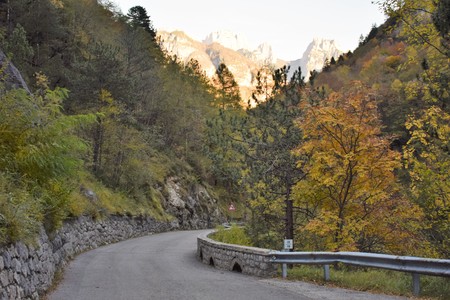 Autumn colorsの写真素材