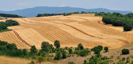 Agricultural levels