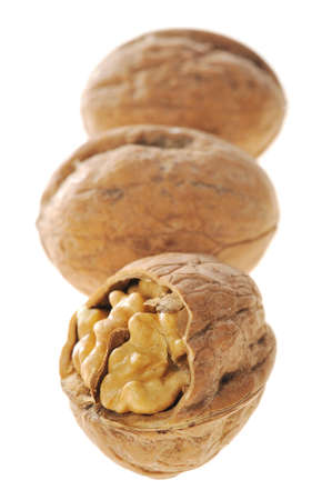 walnut on white background 