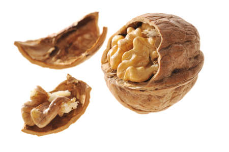 walnut on white background 