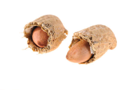 peanut on a white background 