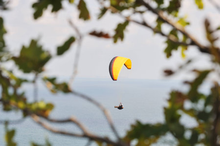 paraglider flying in the sky の写真素材