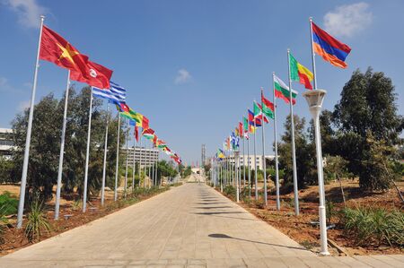 many flags