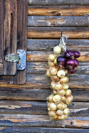 Onion braidの写真素材