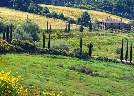 A beautiful tuscan cottage inside a country with cypressesの写真素材