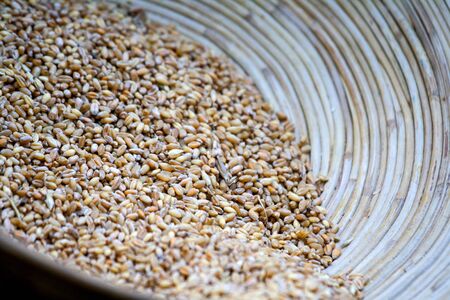 Wheat grain in a wooden basket.の写真素材