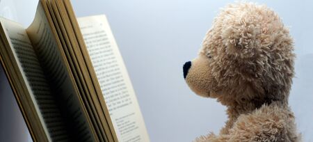 Brown reading teddy bear at white backgroundの写真素材