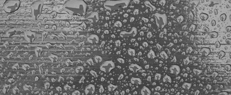 Abstract pattern of water droplets  on a painted wooden surface after rain . Black and white photography. Top view.の写真素材