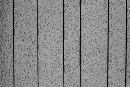 Abstract pattern of water droplets  on a painted wooden surface after rain . Black and white photography. Top view.の写真素材