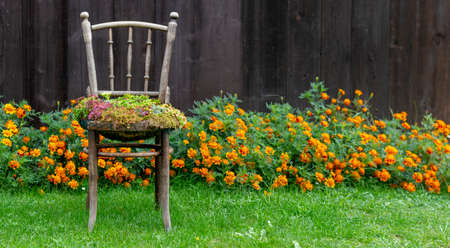 Old wooden chair planter. Outdoor vintage chair recycled used as a planter. Chair flowerpot in the garden.の写真素材