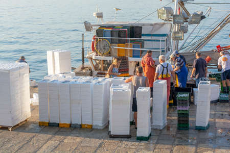 Moscenicka draga, Croatia - August, 13, 2021 : Fishermen sorting out the catch in the harbor of Moscenicka Draga in the early morning.のeditorial素材