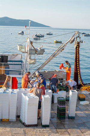 Moscenicka draga, Croatia - August, 13, 2021 : Fishermen sorting out the catch in the harbor of Moscenicka Draga in the early morning.のeditorial素材