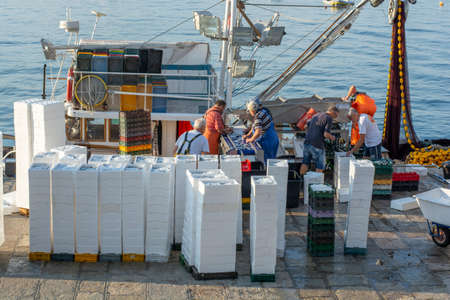 Moscenicka draga, Croatia - August, 13, 2021 : Fishermen sorting out the catch in the harbor of Moscenicka Draga in the early morning.のeditorial素材