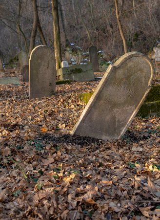 Old ancient abandoned jewish cemetery in the forest in the winter. Aged tombstones or gravestones in the graveyard.のeditorial素材