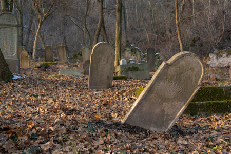 Old ancient abandoned jewish cemetery in the forest in the winter. Aged tombstones or gravestones in the graveyard.のeditorial素材