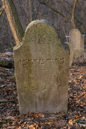 Old ancient abandoned jewish cemetery in the forest in the winter. Aged tombstones or gravestones in the graveyard.のeditorial素材