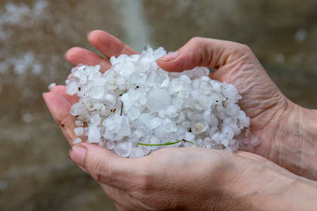 Woman hands holding hail stones in the garden after storm in the summer.