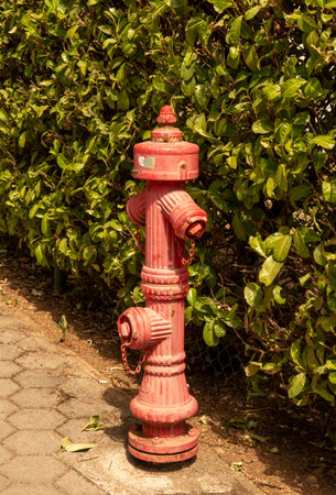 An old red metal fire hydrant on the pavement in the city.の写真素材