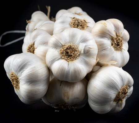Organic garlic heads or bulbs isolated on black background. Garlic plait. Close up. Detail.の写真素材