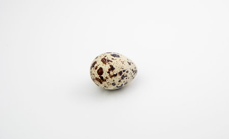 The Common quail (Coturnix coturnix) eggs on a white background.の写真素材
