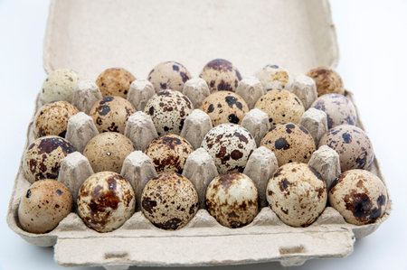 The Common quail (Coturnix coturnix) eggs on a white background.の写真素材