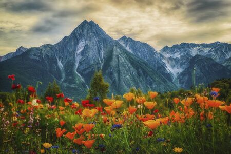 Roche de Boule Mountain near Hazelton BC Canadaの写真素材