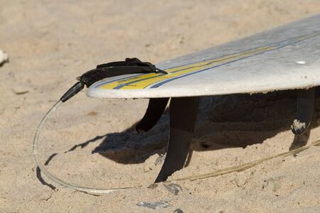 waveriderの写真素材