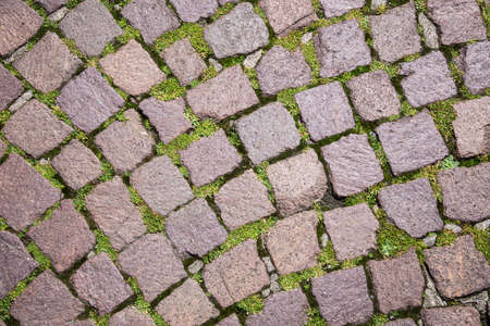 You can see a floor with small paving stones that are covered with moss between the jointsの写真素材