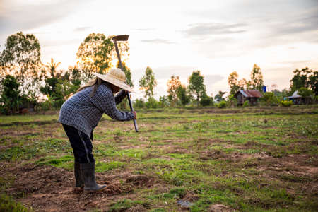 In the picture you can see a woman in the field digging a hole in the ground with a shovel.の写真素材