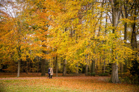 Two people walking in a park surrounded by colorful autumn trees.の写真素材