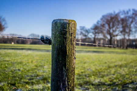 Tear pole at a meadow in winter