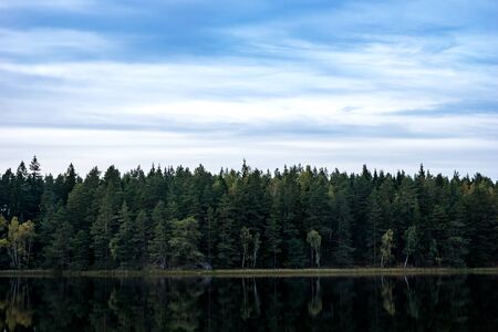 Foreset by lake with blue sky
