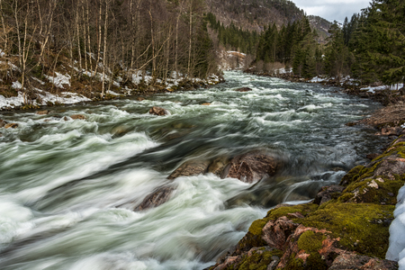 Forest landscape with river in Norwayの写真素材