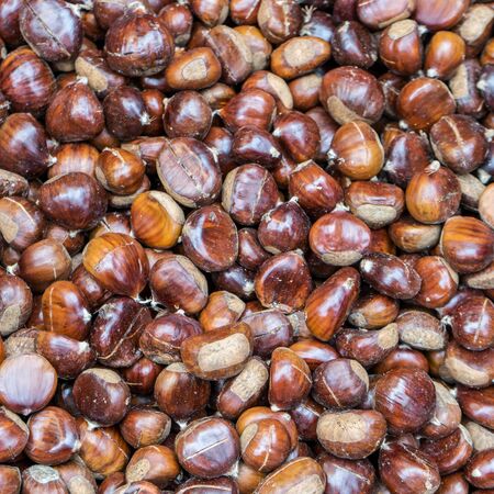 fresh chestnutsの写真素材