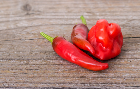 different sorts of paprika and chiliの写真素材