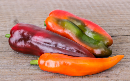 different sorts of paprika and chiliの写真素材
