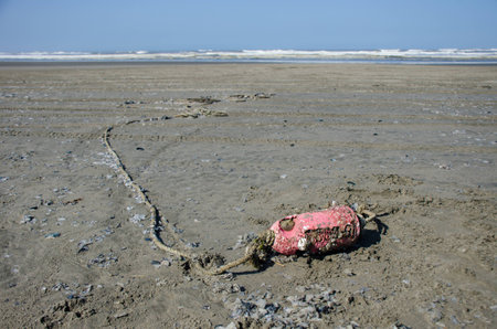 Buoy washed ashoreの写真素材