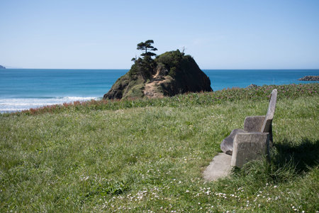 Bench at ocean close upの写真素材