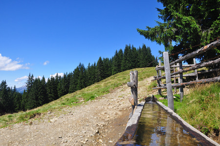 Spring Water in wooden well next to footpath in the alpsの写真素材