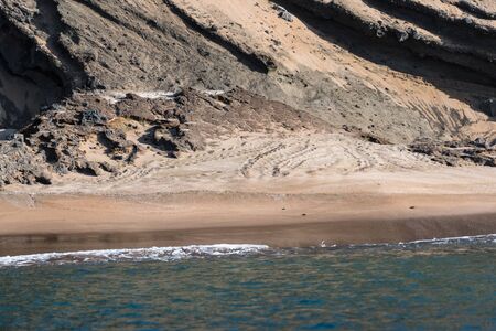 Tracks of turtle in sand on beach of Bartolome Island, Galapagos Islands, Ecuador, South America.の写真素材