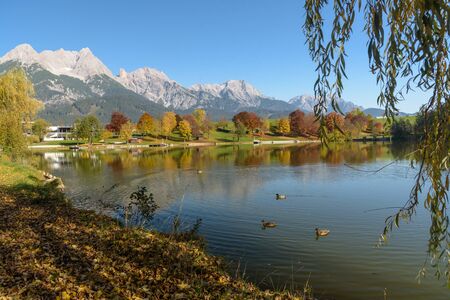 View of some ducks on Lake Ritzensee on a sunny autumn day in Saalfelden. The mountain range Steinernes Meer and the blue sky reflecting in the water of the lake in Saalfelden, Pinzgau, Salzburg Land, Austria, Europe.の写真素材