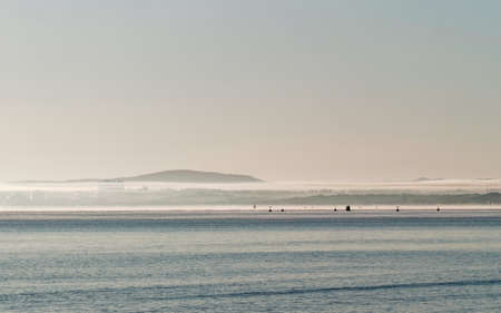 Shoreline in the morning lightの写真素材