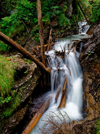 Scenic view of waterfall in forestの写真素材