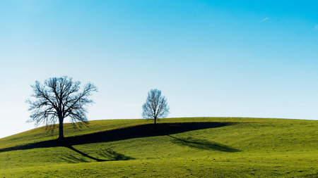Beautiful landscape with trees on hill and blue sky in the morningの写真素材