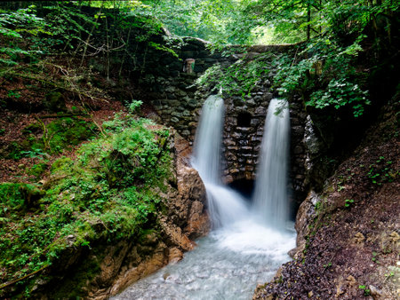 Waterfall in the forest. Waterfall in the green forest.の写真素材