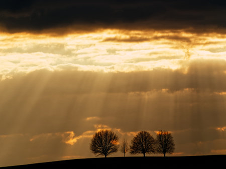 Trees silhouetted against a dramatic sky with sun rays.
