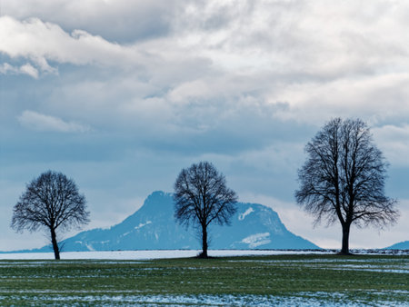 Winter landscape with three trees on a field and mountain in the backgroundの写真素材