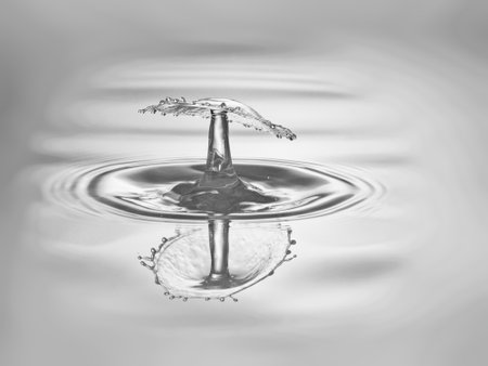 Falling drops of water. Splash effect after collision a falling drops with water surfaceの写真素材