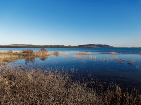 Lake in early spring on a clear sunny day. Landscape.の写真素材